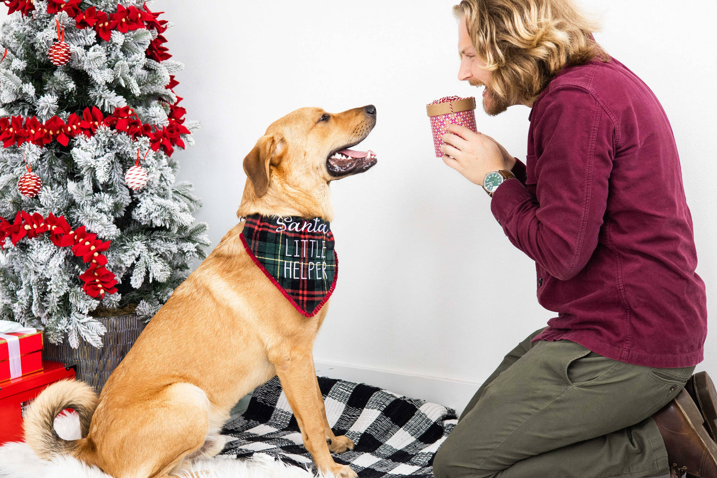 Santa's Little Helper Christmas Dog Bandana, M/L