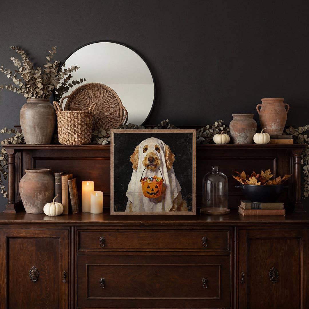 Trick Or Treat Goldendoodle