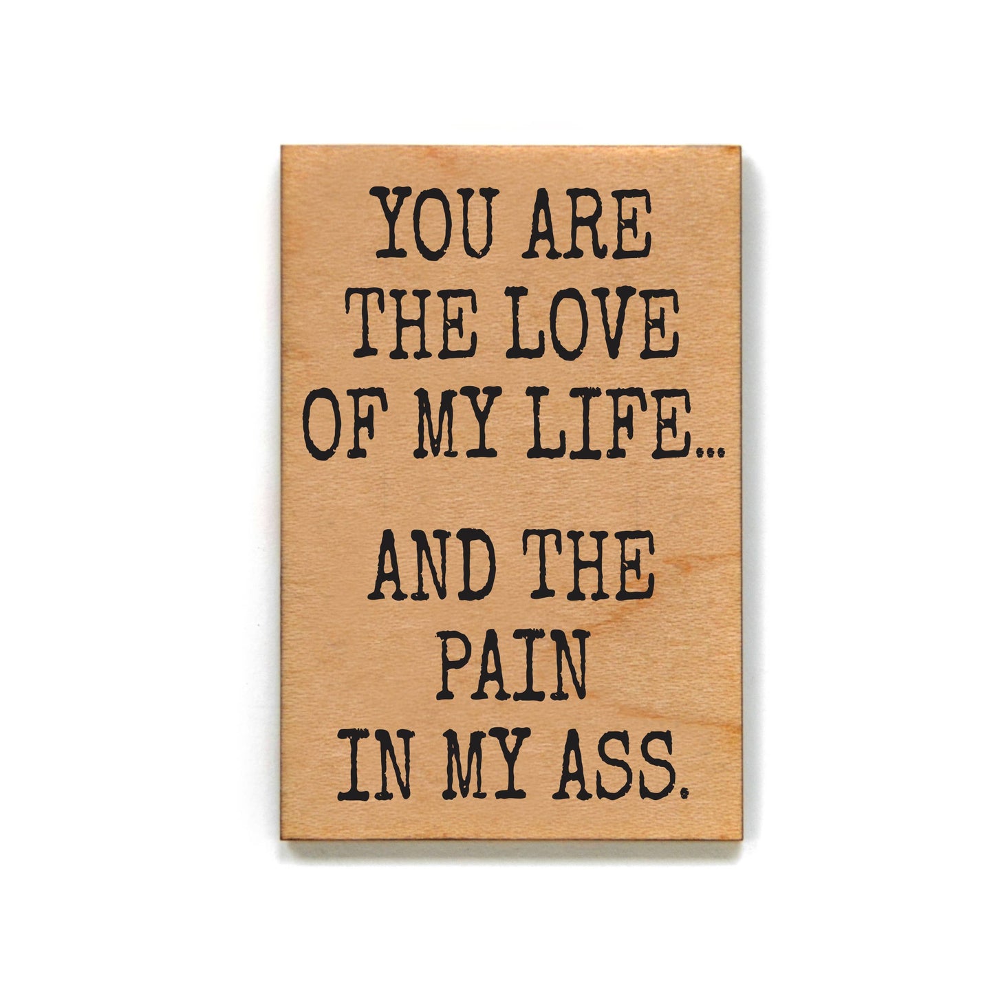Love Of My Life And Pain In My Ass Funny Magnets