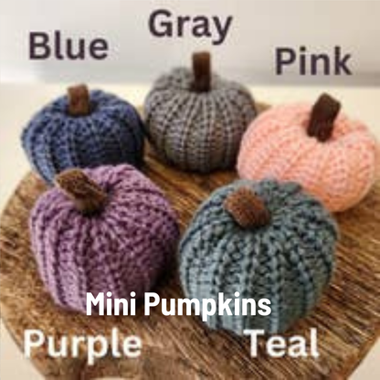 Colorful Pumpkin Knit Fall Home Decor, Thoughtful Gift, Best