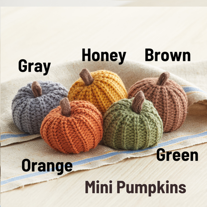 Colorful Pumpkin Knit Fall Home Decor, Thoughtful Gift, Best