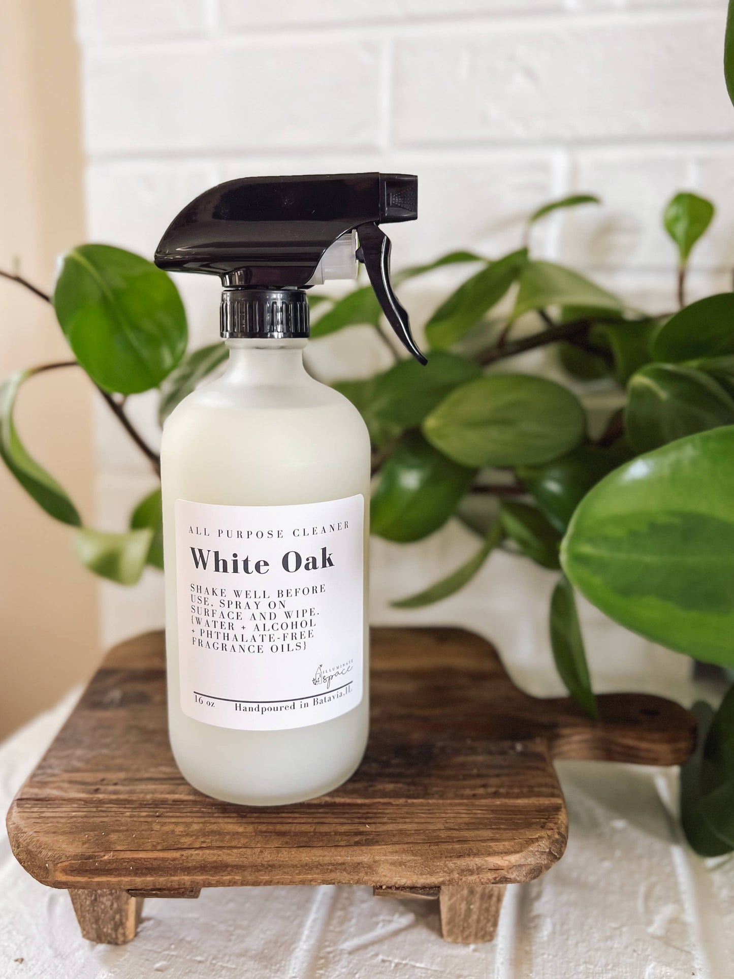 Concentrated Cleaner in Glass Spray Bottle – Just Add Water