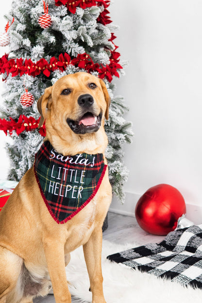 Santa's Little Helper Christmas Dog Bandana, M/L