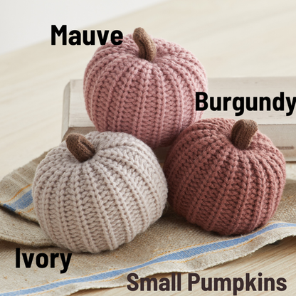 Colorful Pumpkin Knit Fall Home Decor, Thoughtful Gift, Best