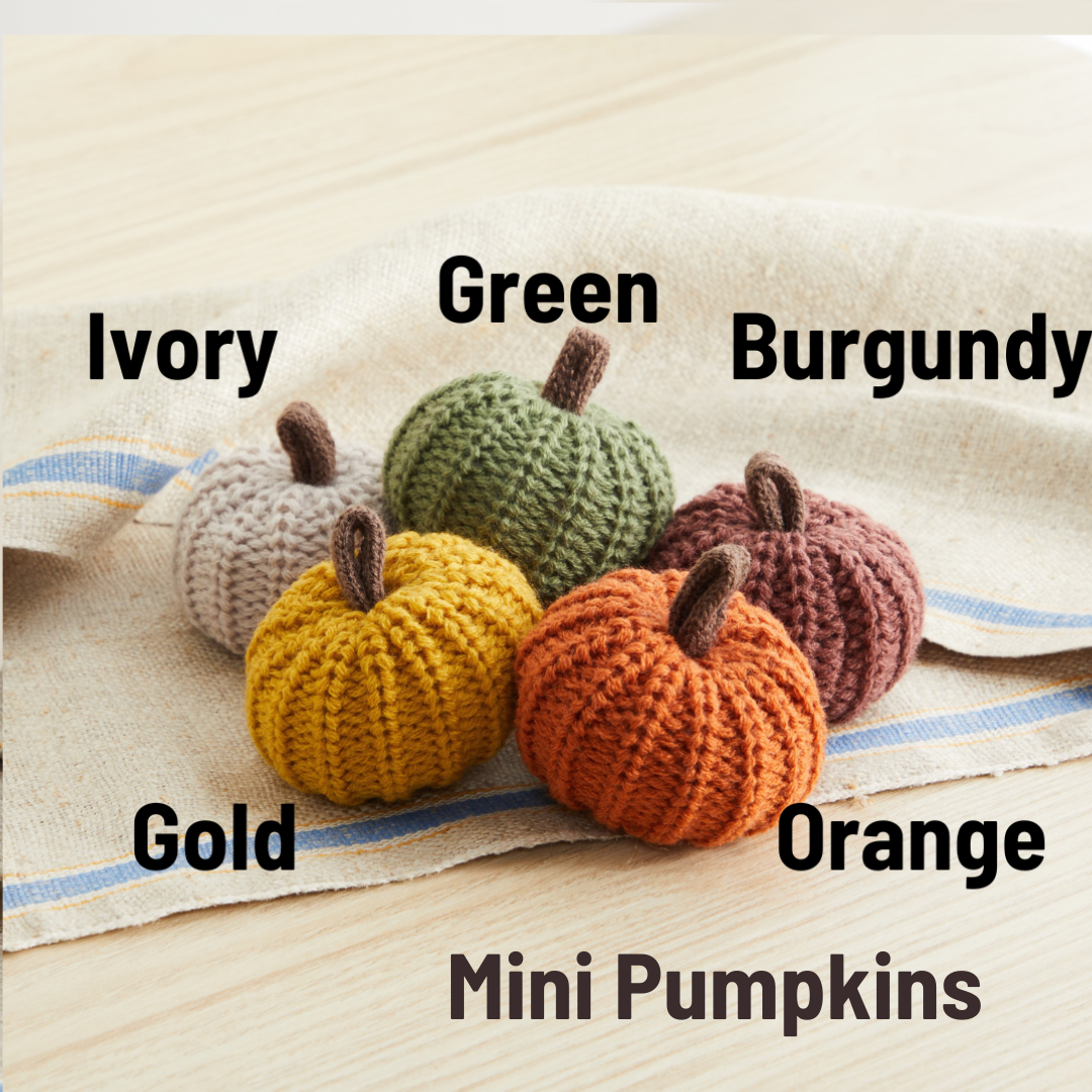 Colorful Pumpkin Knit Fall Home Decor, Thoughtful Gift, Best