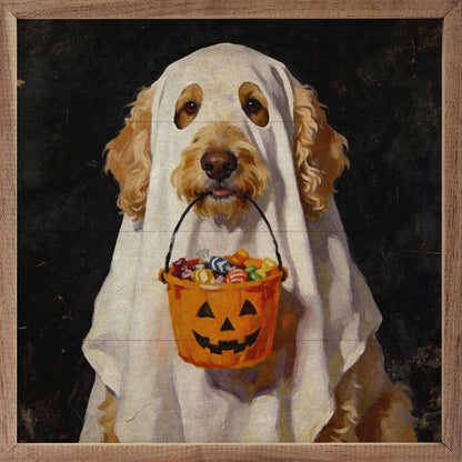 Trick Or Treat Goldendoodle