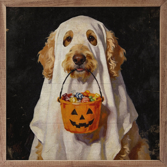 Trick Or Treat Goldendoodle