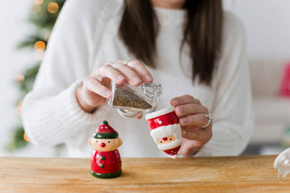 Santa & Elf Salt & Pepper Shaker Christmas Set