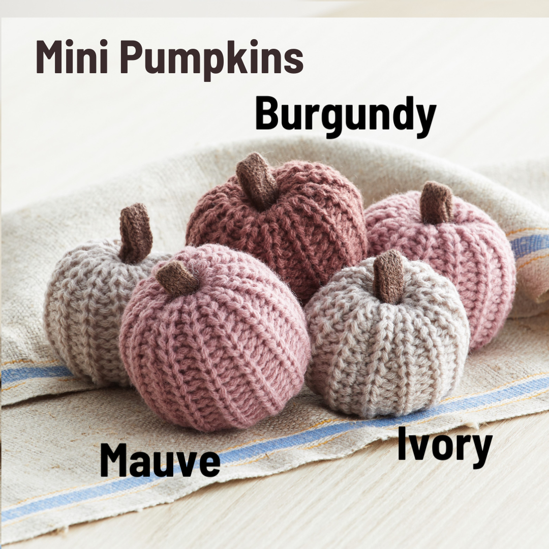 Colorful Pumpkin Knit Fall Home Decor, Thoughtful Gift, Best