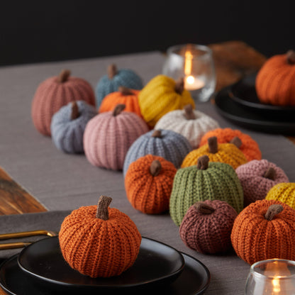 Colorful Pumpkin Knit Fall Home Decor, Thoughtful Gift, Best